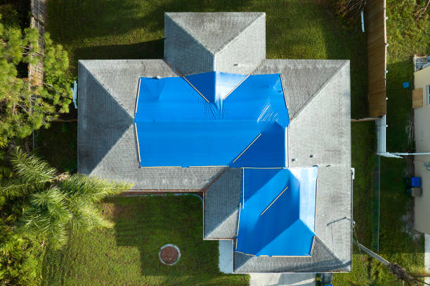 Best Roof Insulation Installation  in Goddard, KS