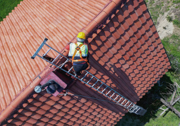 Best Chimney Flashing Repair  in Goddard, KS